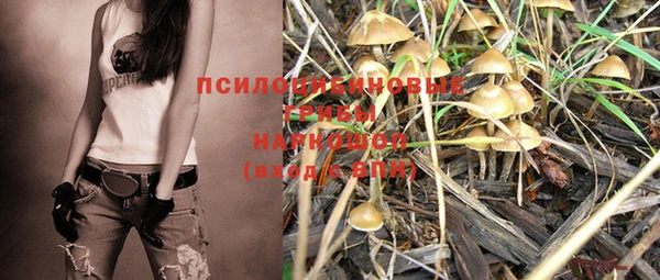 крисы Дмитриев