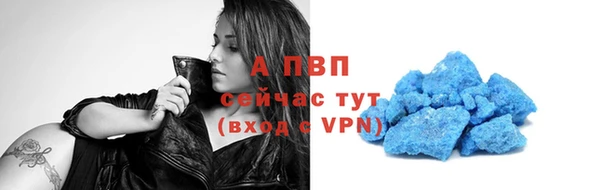 крисы Дмитриев