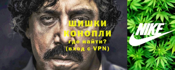 крисы Дмитриев