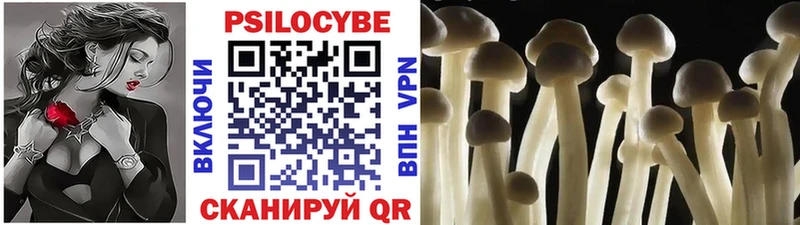 купить  сайты  MEGA как зайти  Галлюциногенные грибы прущие грибы  Железноводск 