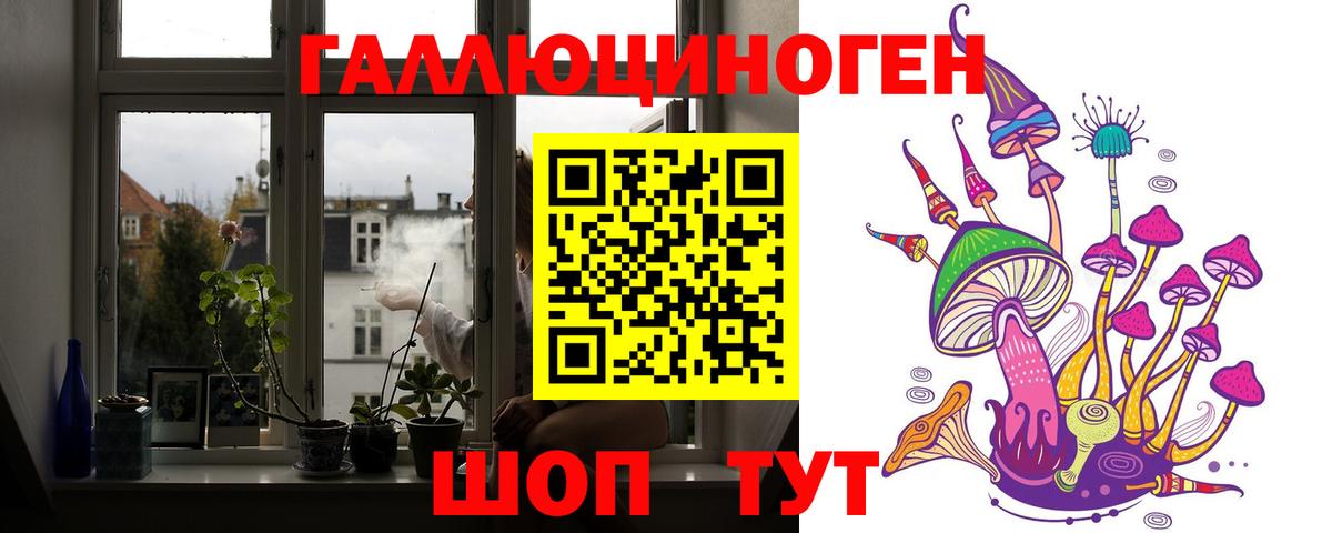 Галлюциногенные грибы Psilocybe  Вход с VPN  Псилоцибиновые грибы ЛСД  Железноводск 